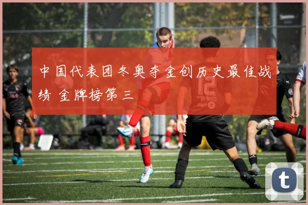 中国代表团冬奥夺金创历史最佳战绩 金牌榜第三